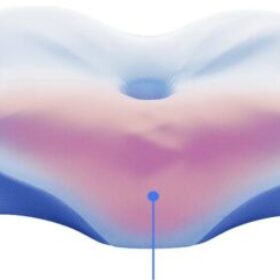Profile picture of Derila Ergo Pillow